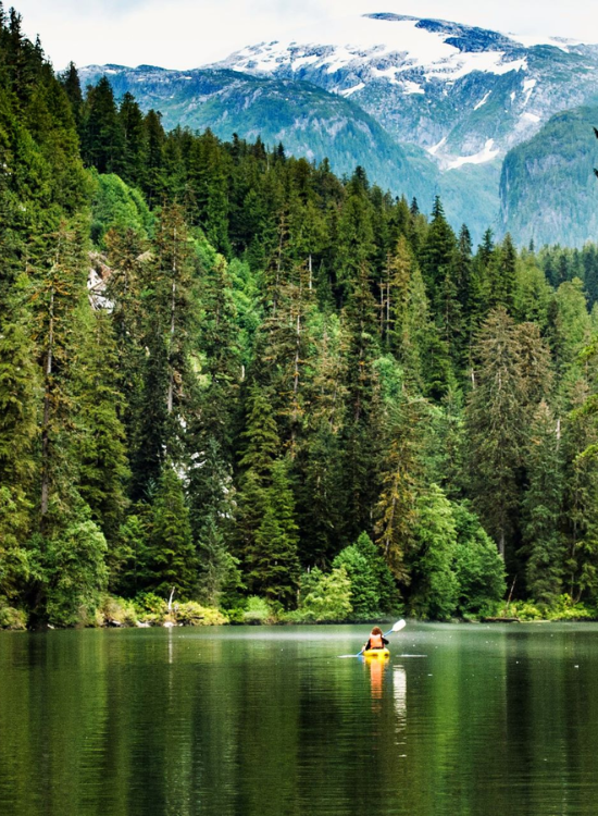 Great Bear Rainforest