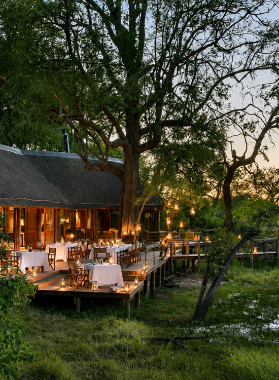 Okavango Delta Botswana Travel Destination