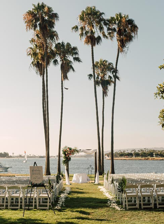 Palm Tree Beach Wedding